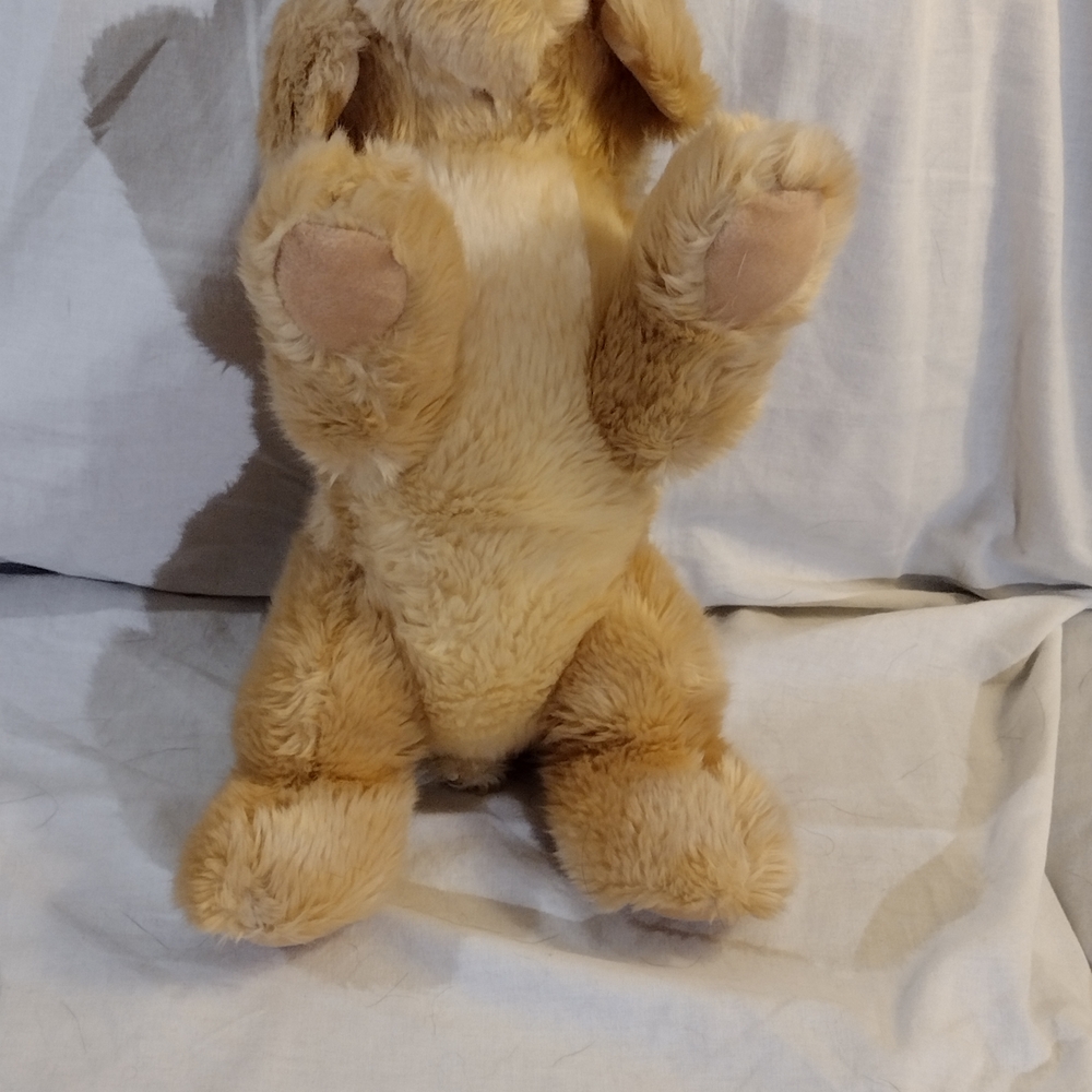 Cuddly Tan Puppy Plush Toy - Picture 9 of 10